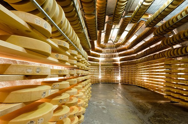 Cheese 2217642 1920